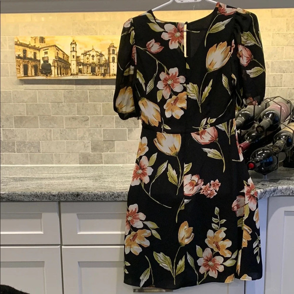 RW&CO Black and Pink Fit and Flare Puff Sleeve Dress - Picture 3 of 3